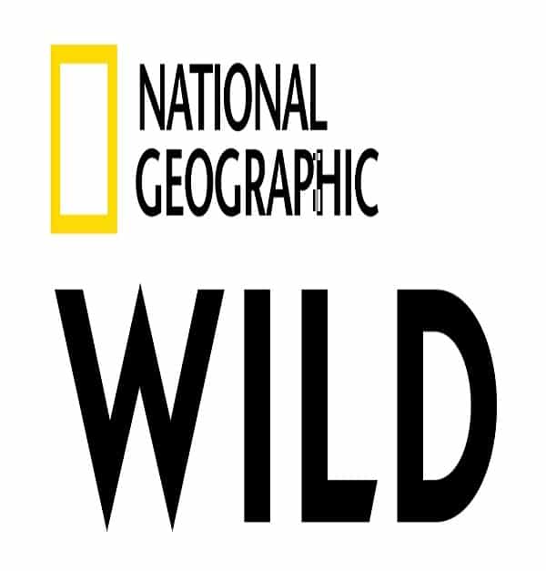 Nat Geo Wild Schedule Serials List Serials Timing Today Business Day